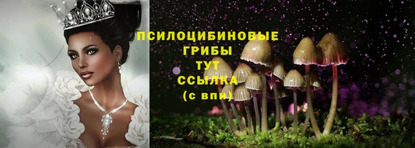 первитин Верея