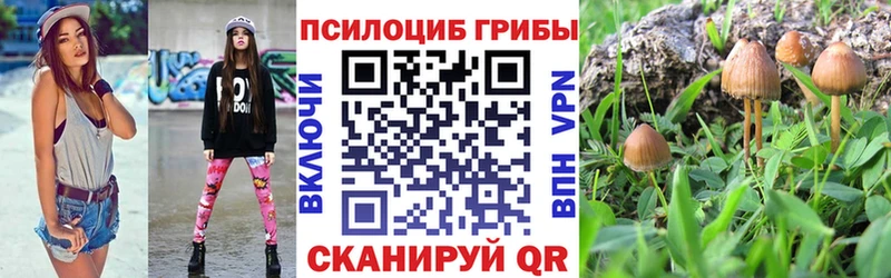 mega зеркало  Новошахтинск  Галлюциногенные грибы Psilocybine cubensis 